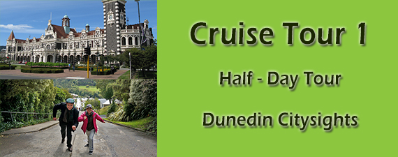 Citysights Tour Banner