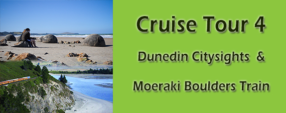 Silver Fern Train and Moeraki Boulders Banner