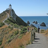Iconic-Tours-Catlins-03.jpg