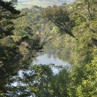 Iconic-Tours-Catlins-04.jpg
