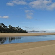 Iconic-Tours-Catlins-07.jpg