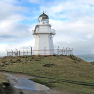 Iconic-Tours-Catlins-08.jpg