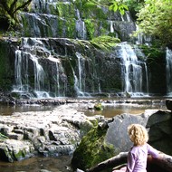 Iconic-Tours-Catlins-10.jpg