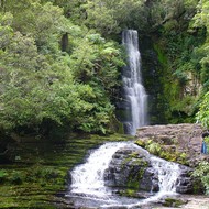 Iconic-Tours-Catlins-12.jpg