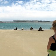 Iconic-Tours-Catlins-13.jpg