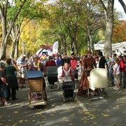 Iconic-Tours-Central-Otago-05.jpg
