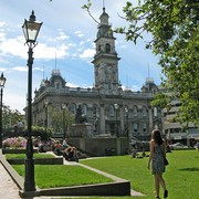 Iconic-Tours-Dunedin-10.jpg