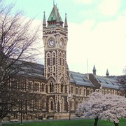 Iconic-Tours-Dunedin-15.jpg