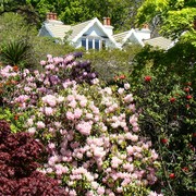 Iconic-Tours-Garden-Tours-01.jpg
