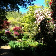 Iconic-Tours-Garden-Tours-02.jpg