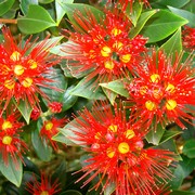 Iconic-Tours-Garden-Tours-04.jpg