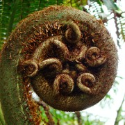 Iconic-Tours-Garden-Tours-05.jpg