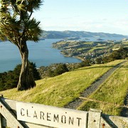 Iconic-Tours-Otago-Peninsula-02.jpg