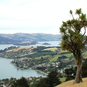 Iconic-Tours-Otago-Peninsula-06.jpg