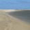 Iconic-Tours-Catlins-01.jpg