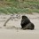 Iconic-Tours-Catlins-02.jpg