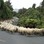 Iconic-Tours-Catlins-05.jpg