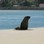 Iconic-Tours-Catlins-06.jpg