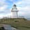 Iconic-Tours-Catlins-08.jpg