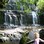 Iconic-Tours-Catlins-10.jpg