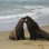 Iconic-Tours-Catlins-11.jpg