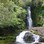 Iconic-Tours-Catlins-12.jpg