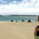 Iconic-Tours-Catlins-13.jpg