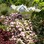 Iconic-Tours-Garden-Tours-01.jpg