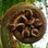 Iconic-Tours-Garden-Tours-05.jpg