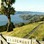 Iconic-Tours-Otago-Peninsula-02.jpg