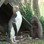 Iconic-Tours-Otago-Peninsula-03.jpg