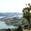 Iconic-Tours-Otago-Peninsula-06.jpg