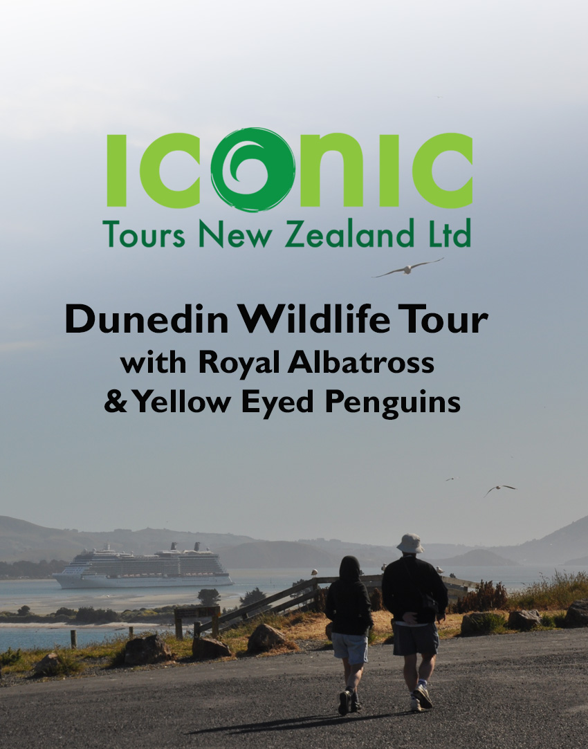 Wildlife Tour Banner