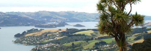 Otago Peninsula Tours