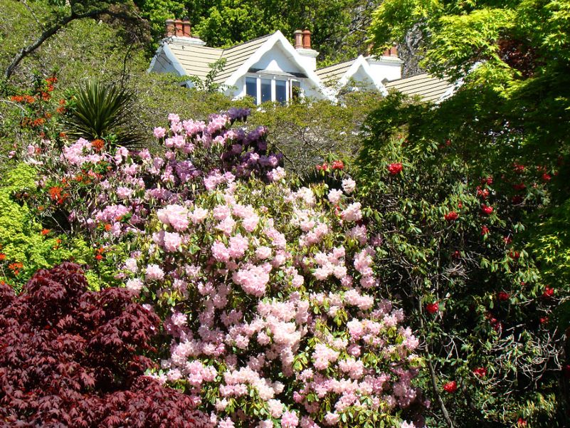 Iconic-Tours-Garden-Tours-01.jpg