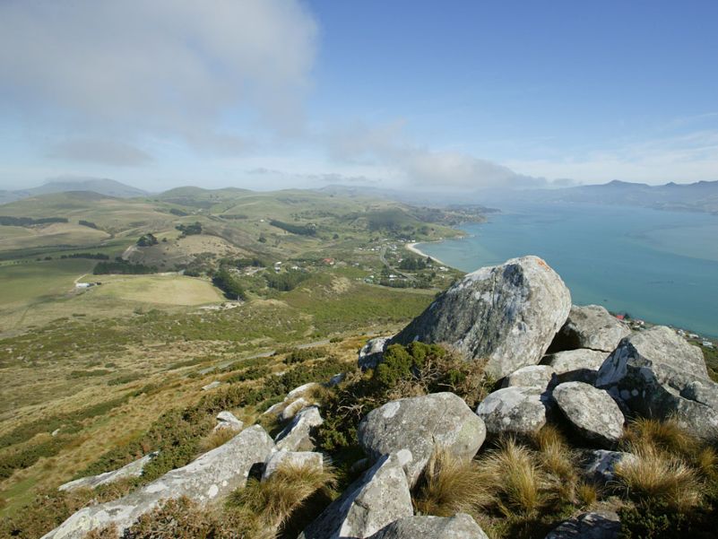 Iconic-Tours-Otago-Peninsula-01.jpg