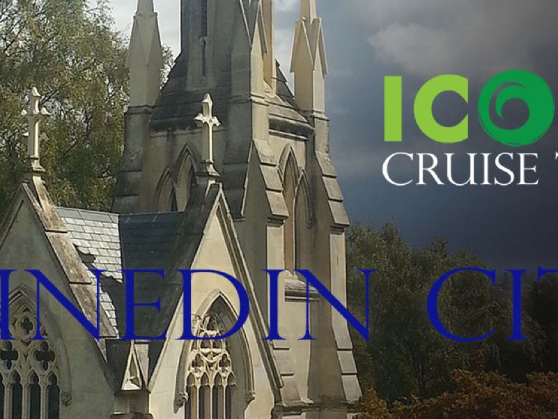Dunedin City Sightseeing
